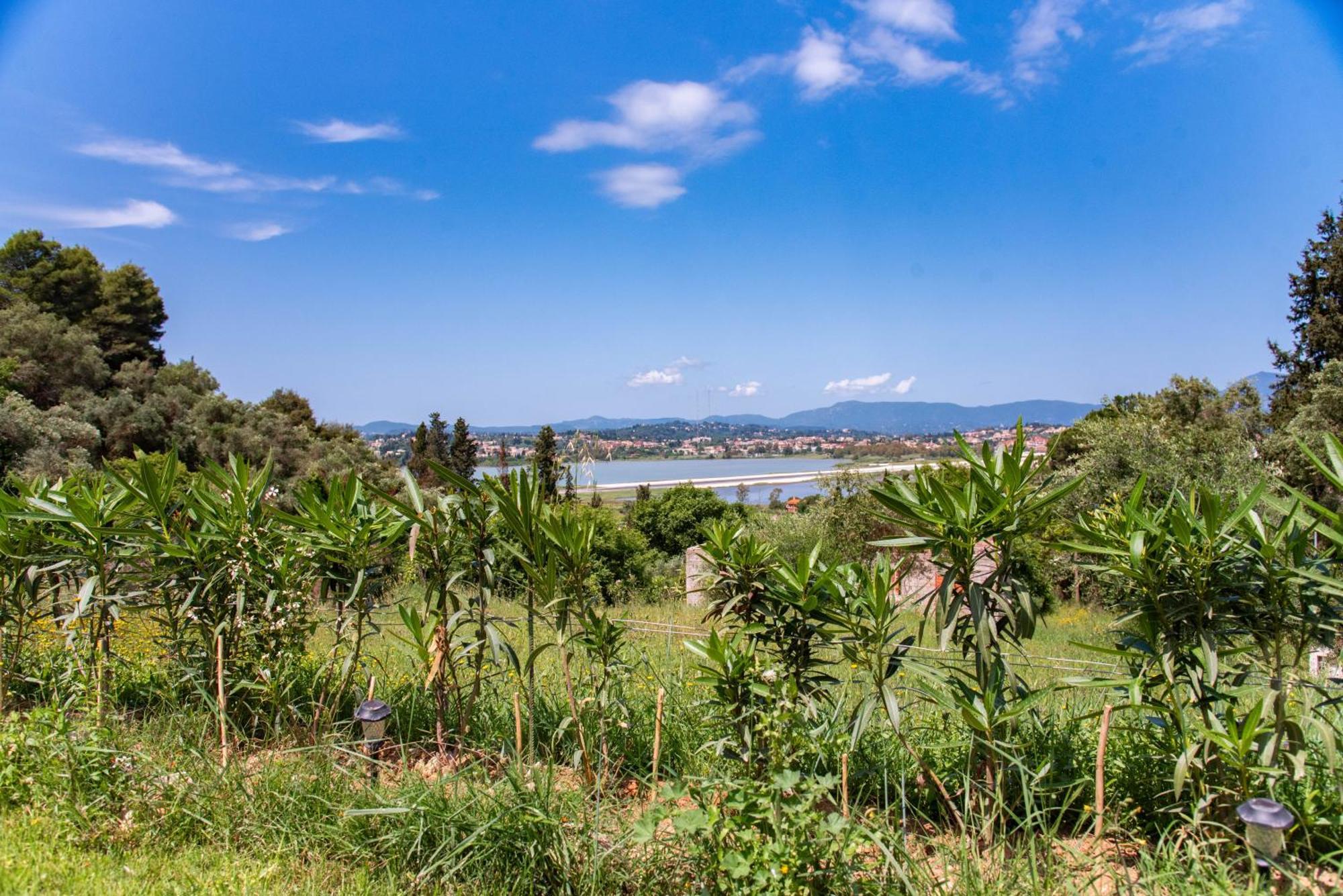 Gems Apartament Corfu (city)